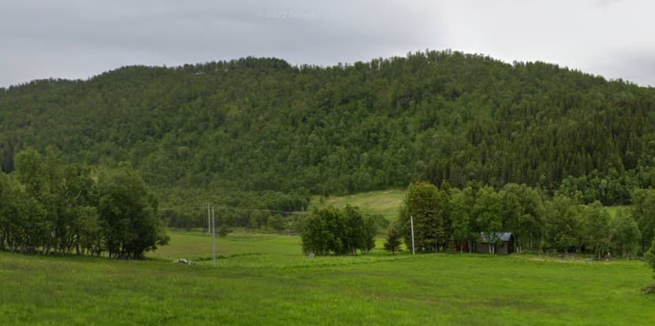 Sæteråsen Habitat Forest