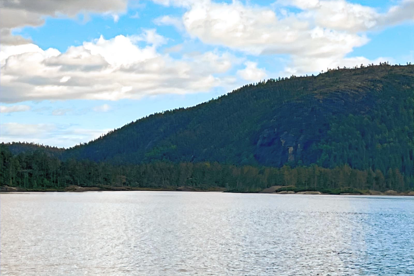 Sivættjønn Habitat Forest